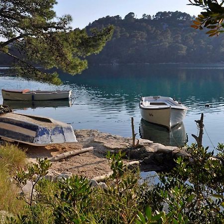 Authentic Ap For 2, Babino Polje,Mljet Apartment Luaran gambar