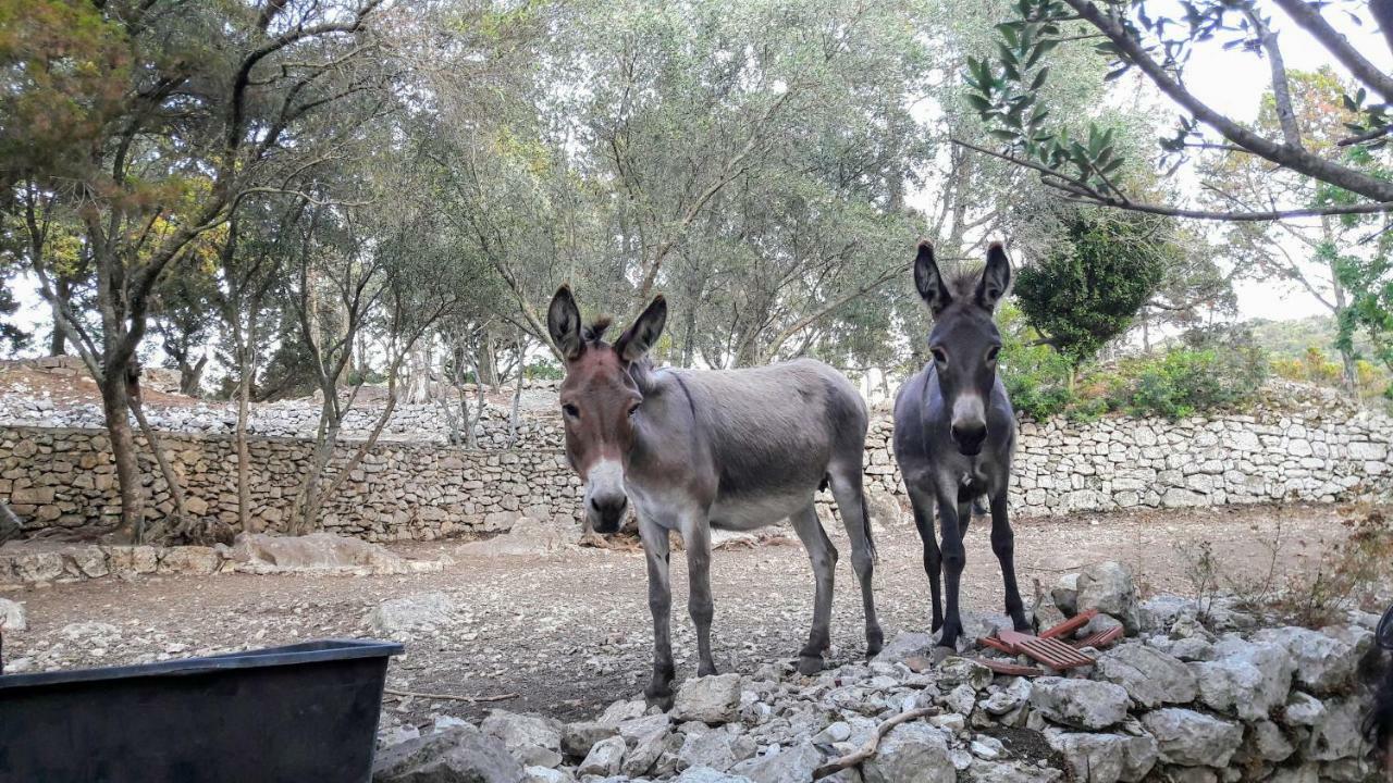 Authentic Ap For 2, Babino Polje,Mljet Apartment Luaran gambar