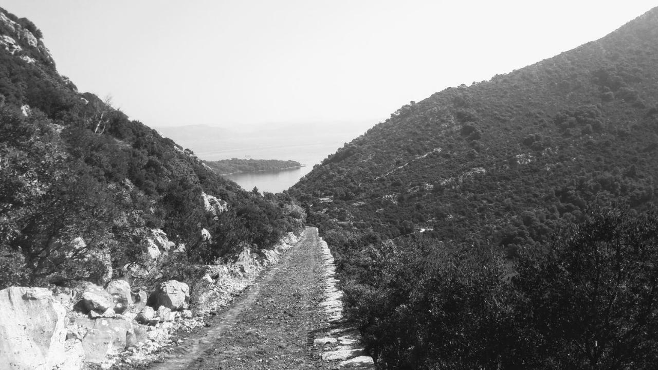 Authentic Ap For 2, Babino Polje,Mljet Apartment Luaran gambar