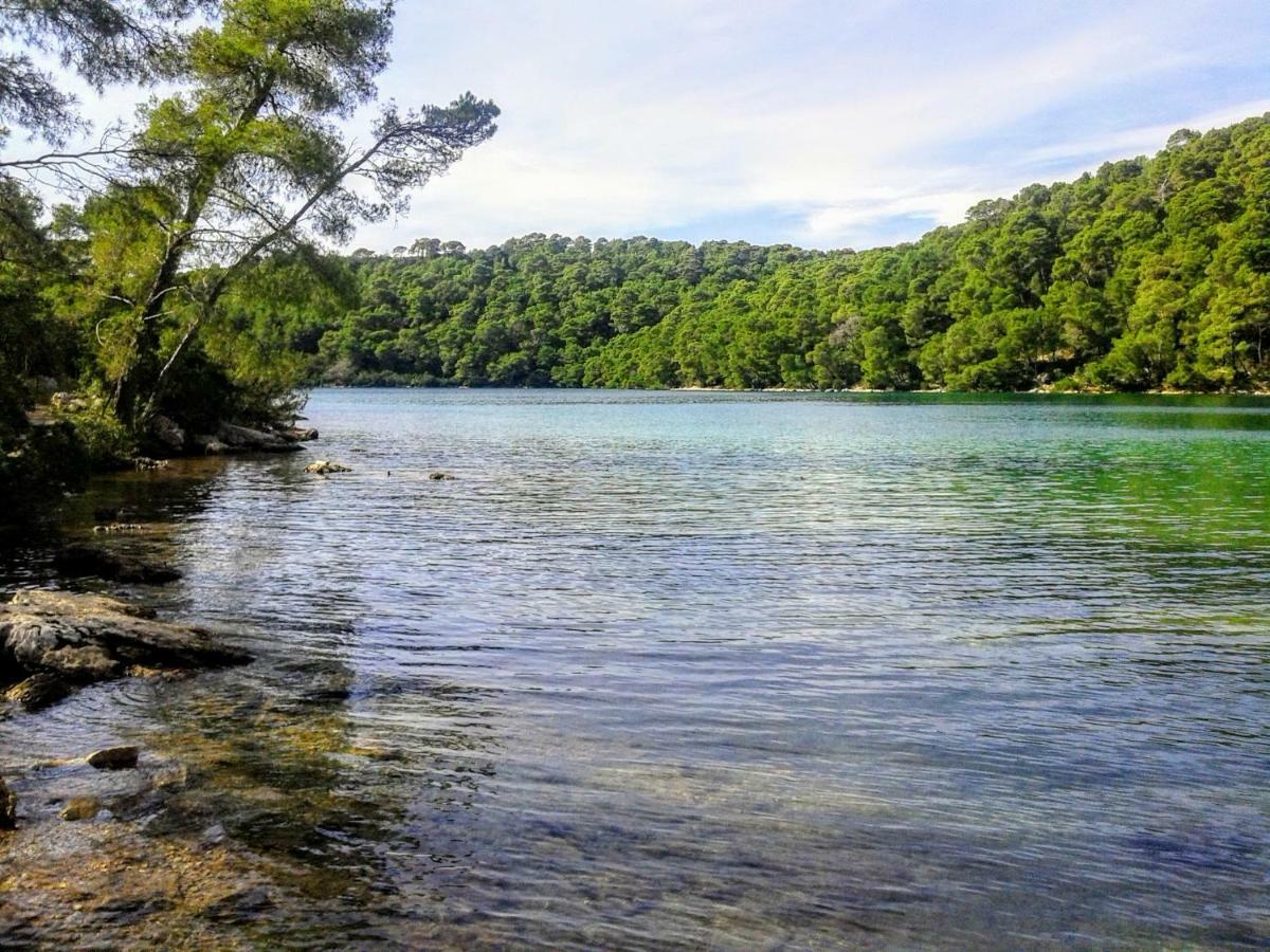 Authentic Ap For 2, Babino Polje,Mljet Apartment Luaran gambar