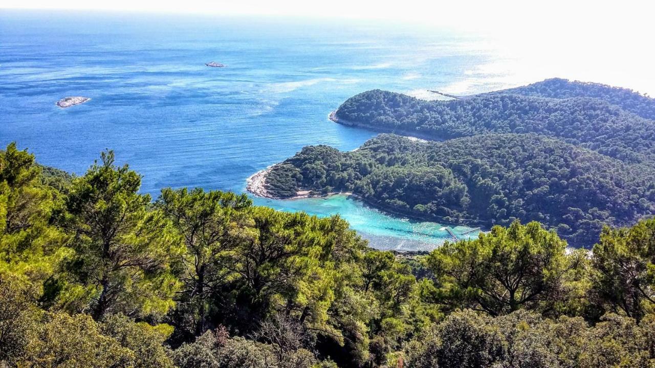 Authentic Ap For 2, Babino Polje,Mljet Apartment Luaran gambar