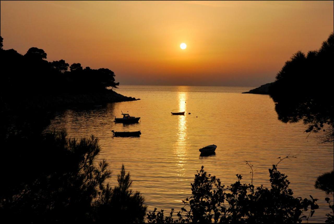 Authentic Ap For 2, Babino Polje,Mljet Apartment Luaran gambar