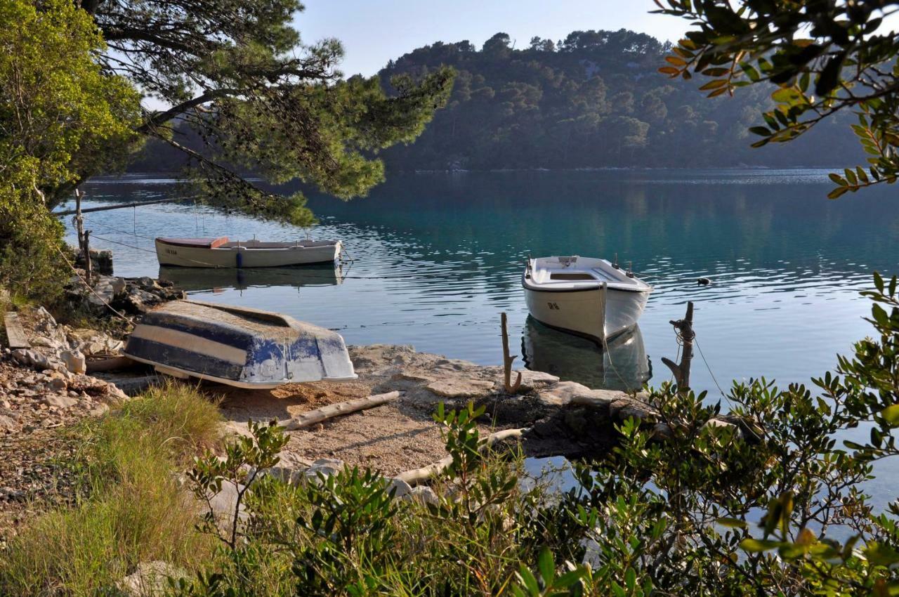 Authentic Ap For 2, Babino Polje,Mljet Apartment Luaran gambar