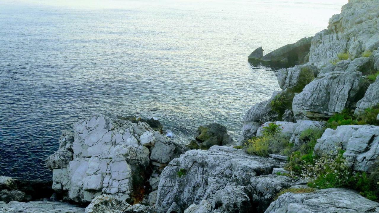Authentic Ap For 2, Babino Polje,Mljet Apartment Luaran gambar