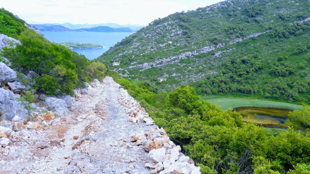 Authentic Ap For 2, Babino Polje,Mljet Apartment Luaran gambar